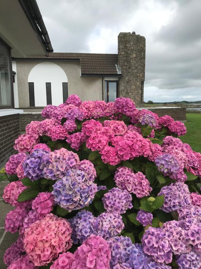 Castlepoint Villa Strangford Bagian luar foto